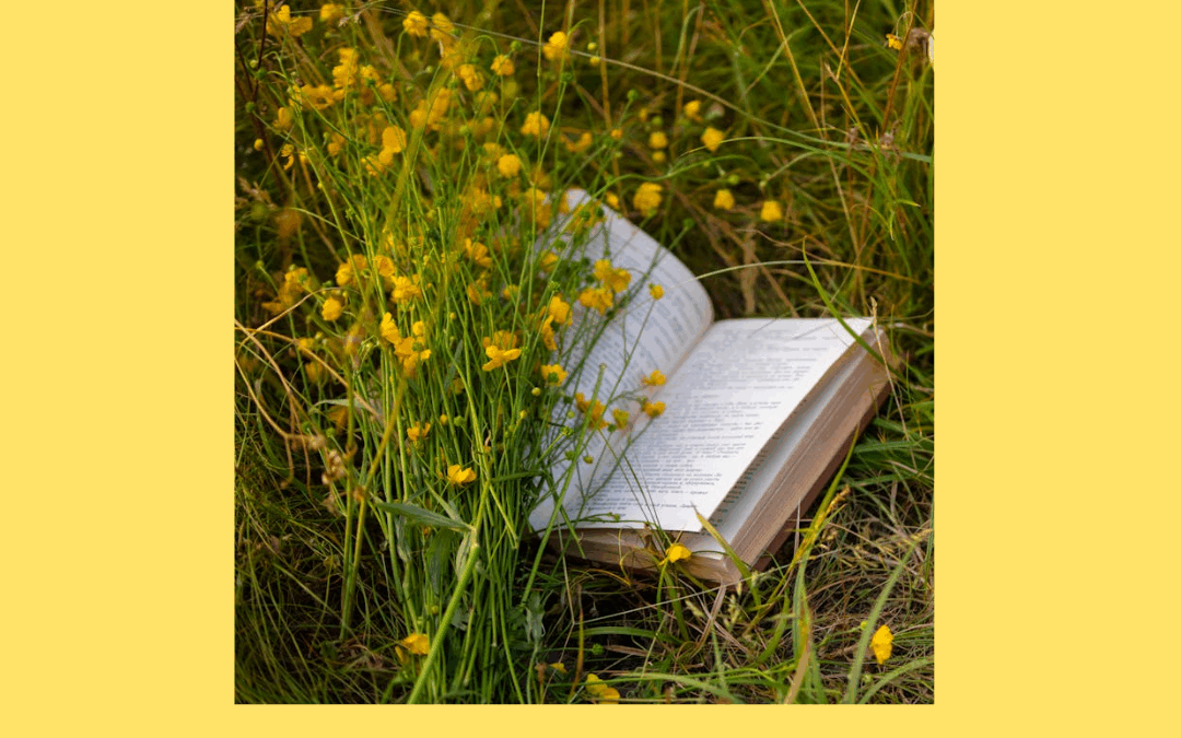 Sumarleslisti Lestrarklefans 2025