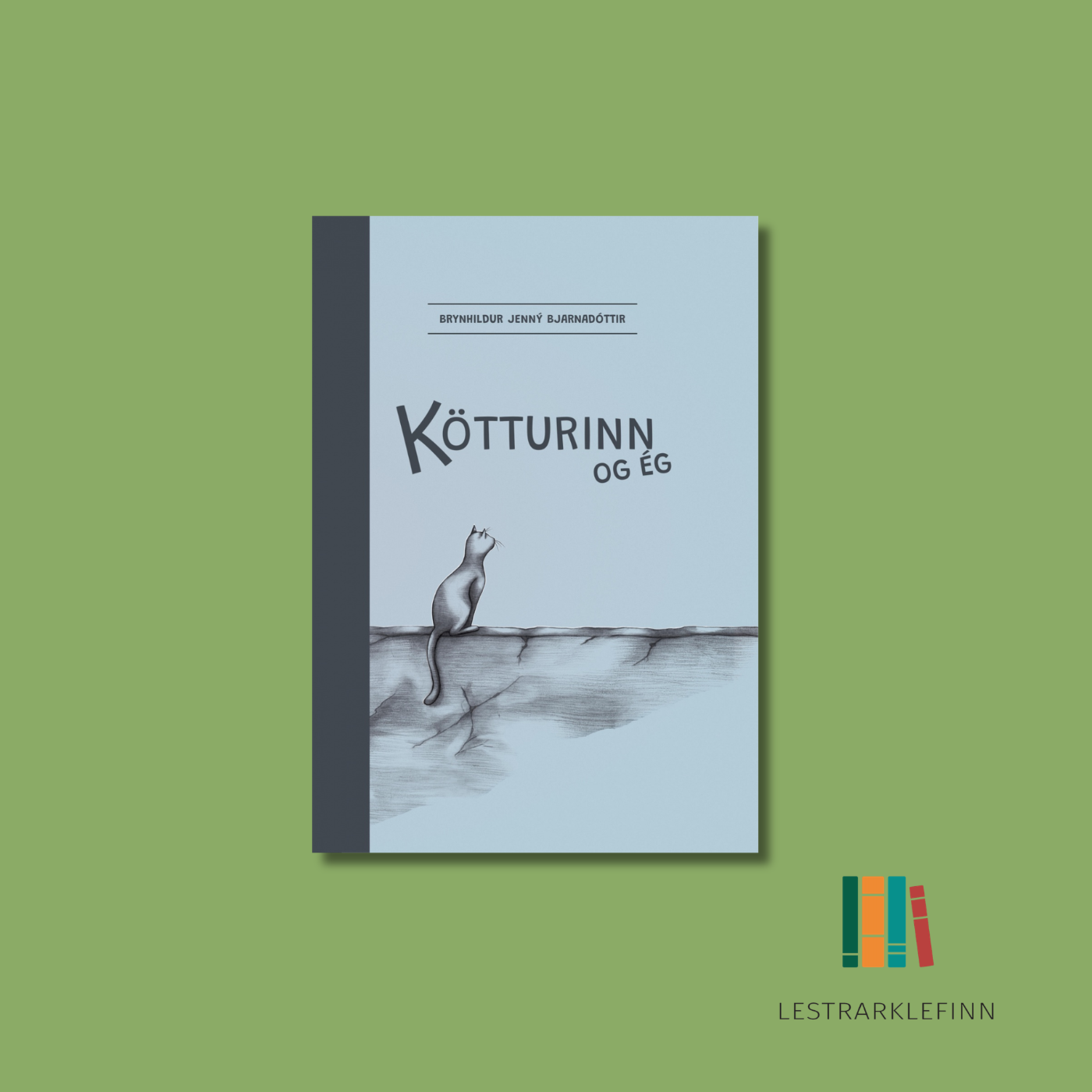 Þroskasaga konu og kattar